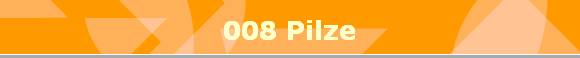 008 Pilze