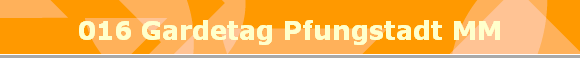016 Gardetag Pfungstadt MM