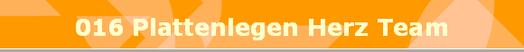 016 Plattenlegen Herz Team