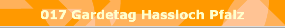 017 Gardetag Hassloch Pfalz