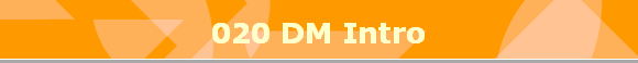 020 DM Intro