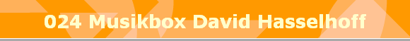 024 Musikbox David Hasselhoff