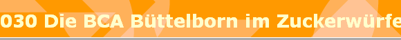 030 Die BCA Bttelborn im Zuckerwrfel