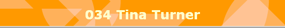 034 Tina Turner