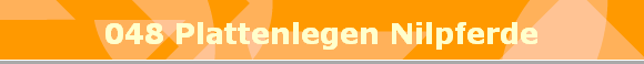 048 Plattenlegen Nilpferde