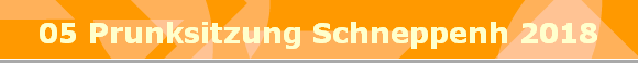 05 Prunksitzung Schneppenh 2018