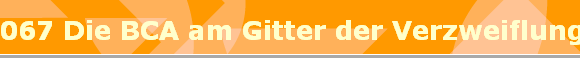 067 Die BCA am Gitter der Verzweiflung