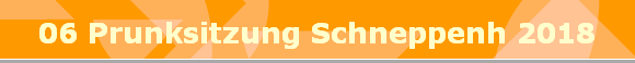 06 Prunksitzung Schneppenh 2018