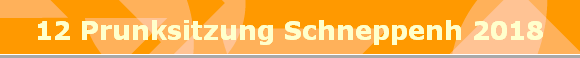 12 Prunksitzung Schneppenh 2018
