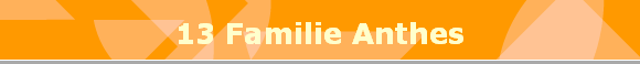 13 Familie Anthes