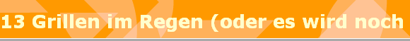 13 Grillen im Regen (oder es wird noch sch�n)
