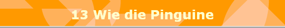 13 Wie die Pinguine