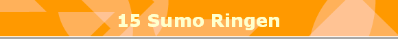15 Sumo Ringen