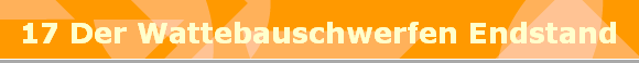 17 Der Wattebauschwerfen Endstand