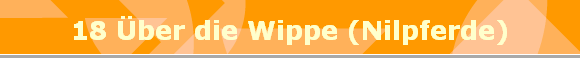 18 ber die Wippe (Nilpferde)