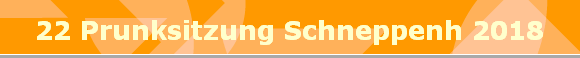 22 Prunksitzung Schneppenh 2018