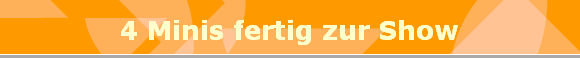 4 Minis fertig zur Show