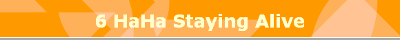 6 HaHa Staying Alive
