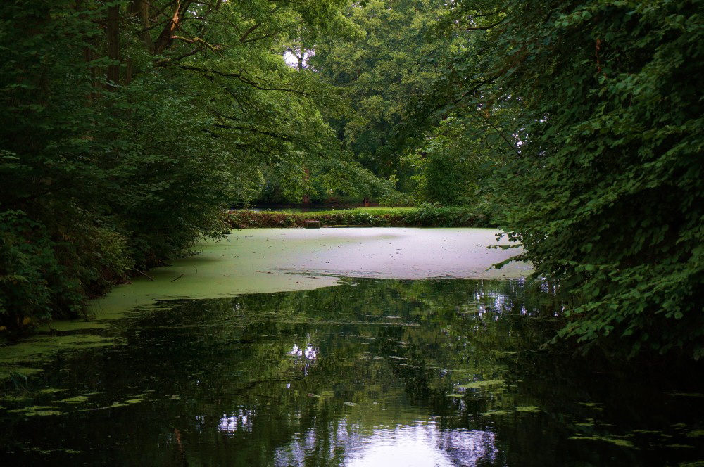 011 Der See