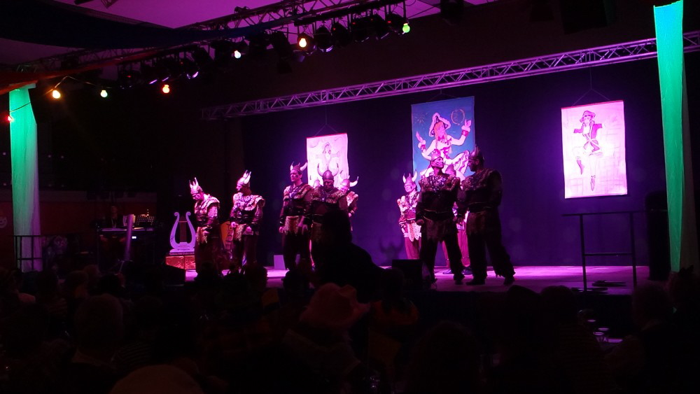 03 Wallersteerer Hallenfastnacht