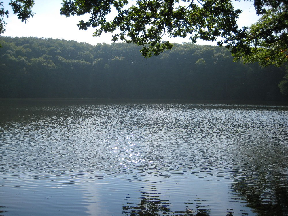 4 Der See im Sonnenschein