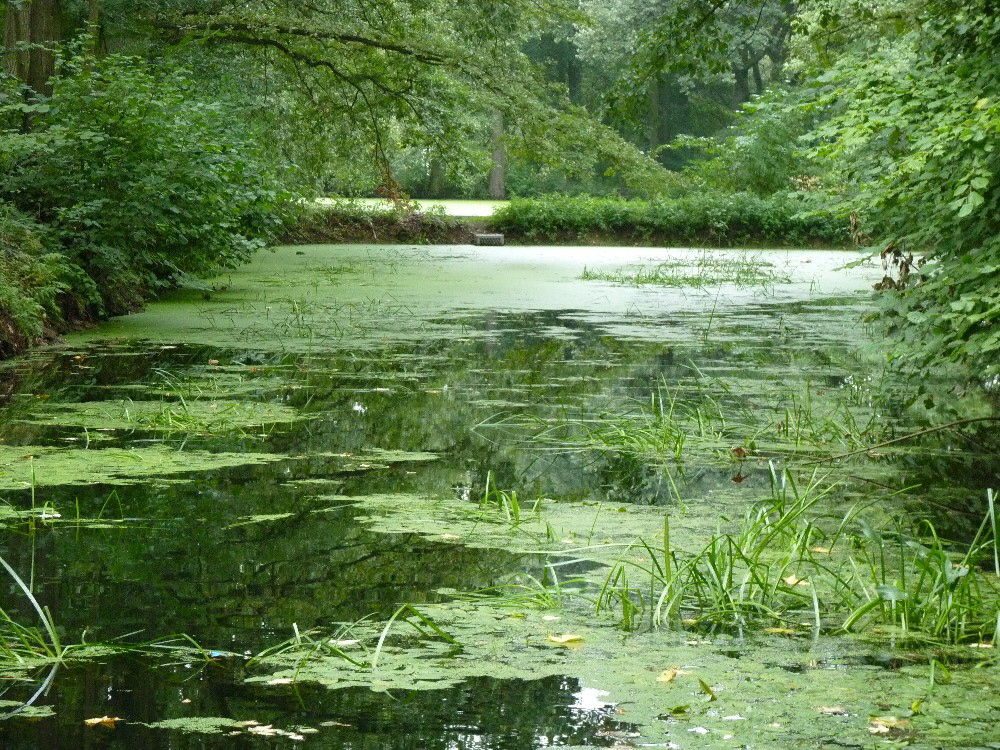 073 Der See