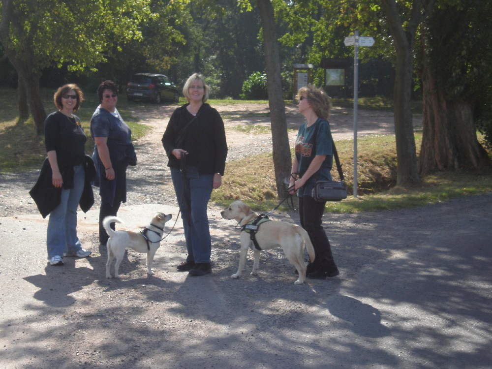 7 Spaziergang mit Hund
