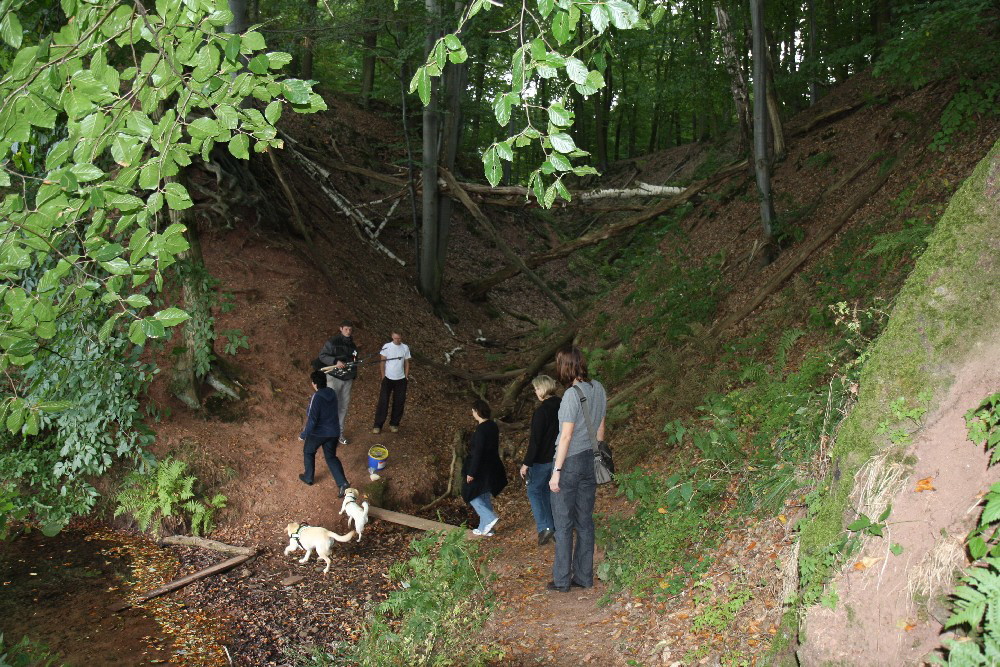 11 Frauenspaziergang