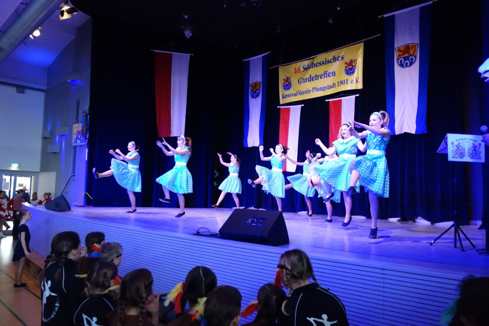 15 Crazy Maniacs in Pfungstadt 2016