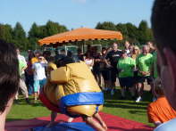 15 Sumo Ringen