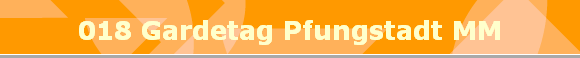 018 Gardetag Pfungstadt MM