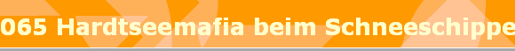 065 Hardtseemafia beim Schneeschippen