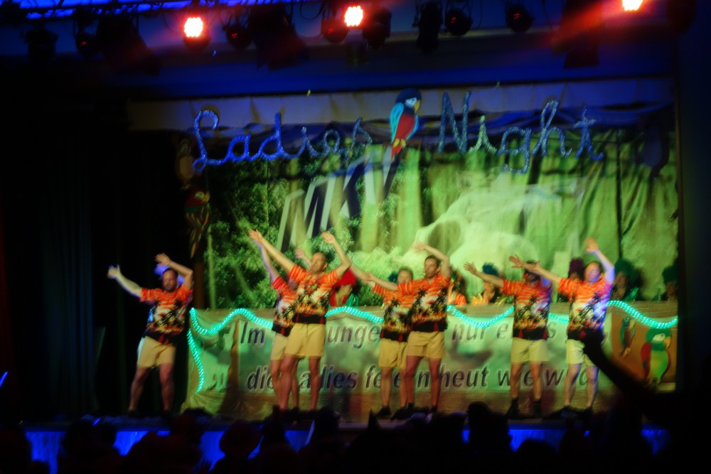 13 Ladies night Messel